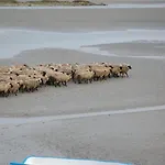 Le Relais De La Baie - D'hotes Oda ve Kahvaltı 3*