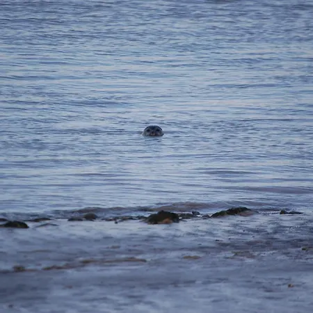 Le Relais De La Baie - D'hotes Nocleg ze śniadaniem Noyelles-sur-Mer