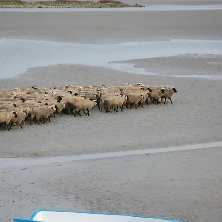 Le Relais De La Baie - D'hotes Nocleg ze śniadaniem 3*